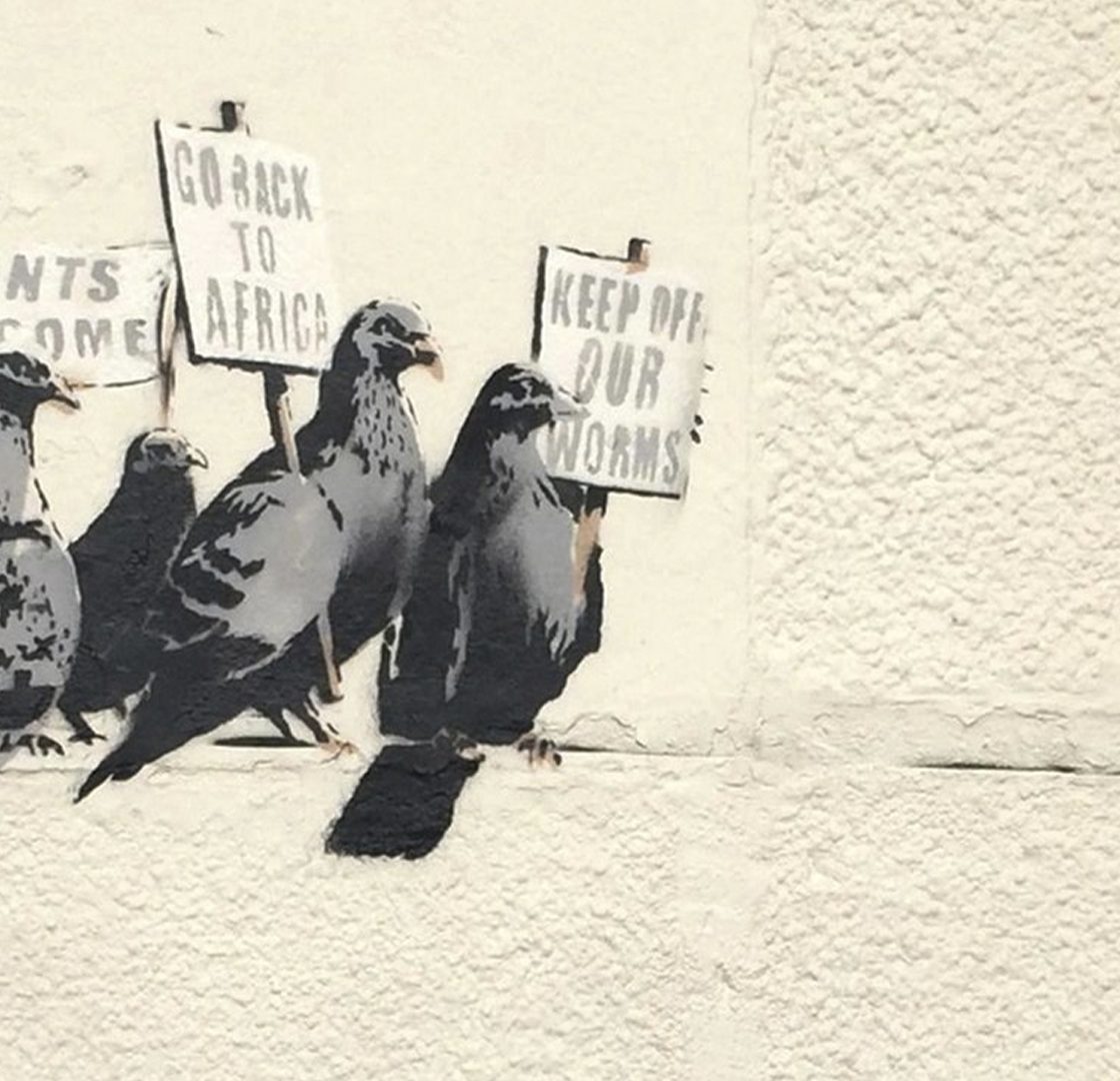 Anti-Immigration Birds