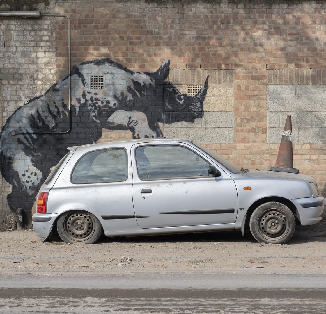 Rhino